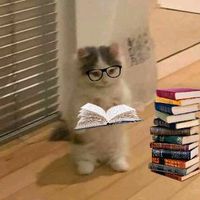 cissbooksxzh