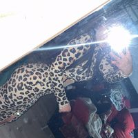 kar1na._.dm