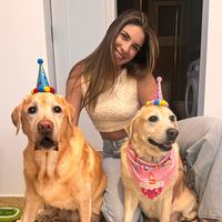its_stella_and_the_dogs