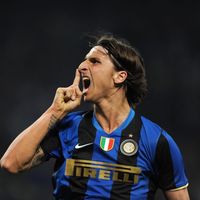 absolute.zlatan3