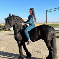 cristinamihaela95