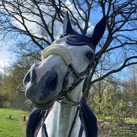 equestrianjaimyluka