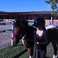 chlo_equii