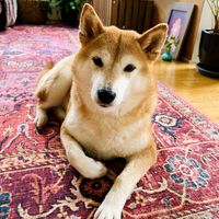 Return to What Is Real