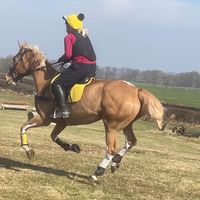 eventingamica