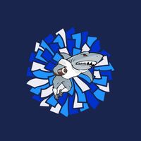gyor_sharks_cheerleaders