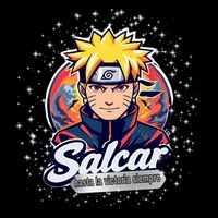 salcar8028