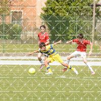 mattegallo_10