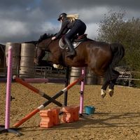 e_equitation16