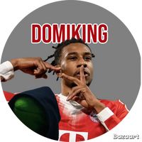 dom1niks_13