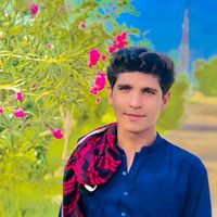 ali.muhammad5512