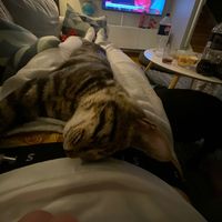 zackster_l