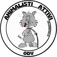 animalistiattiviodv