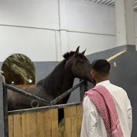 sahraoui_if