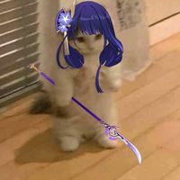 me._.rioko