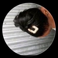 katarinaamir0