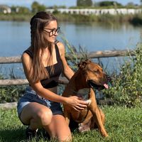 nicolzanier
