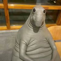 ghostoforionn