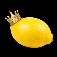 l_e.m.o_n