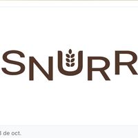 snurrtekno