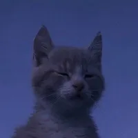 original sound - end0rsement