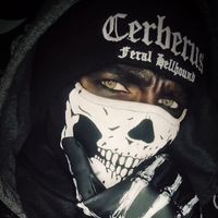 hellh0und_cerberus