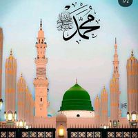 jiger376