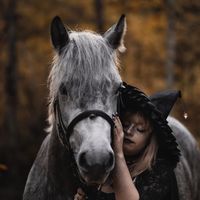 _equestrian.n