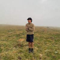 albertfolchp