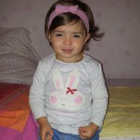 mv..romane