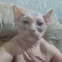 cxspiann