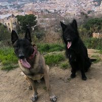 barcelonacity3