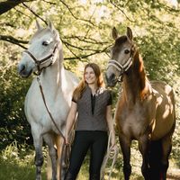 lusitano_bubi