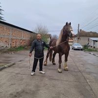 user1790654926997