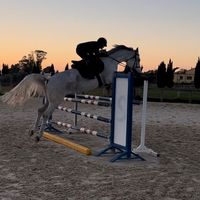 __lia010