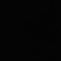 toprak_fry
