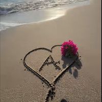 aba_junior1