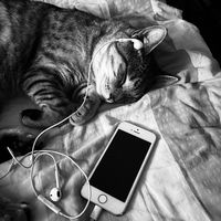 original sound