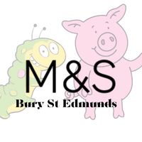 mandsburysteds