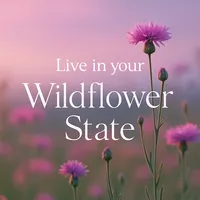 original sound - wildflower.state