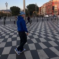fede_res1