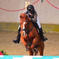 showjumper.annanortvig