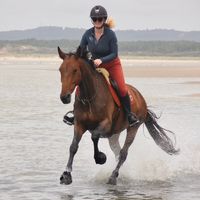 celiapoire