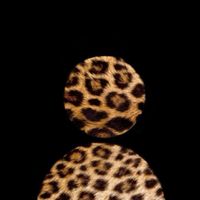 a.cispee