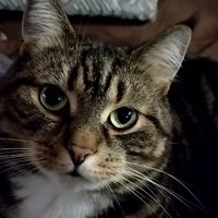 rokki_84