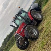 diarmuid573