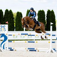 ws_sj_horses