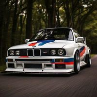 alpina.30