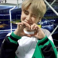 stanerbts7