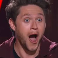 niall_1d.fan
